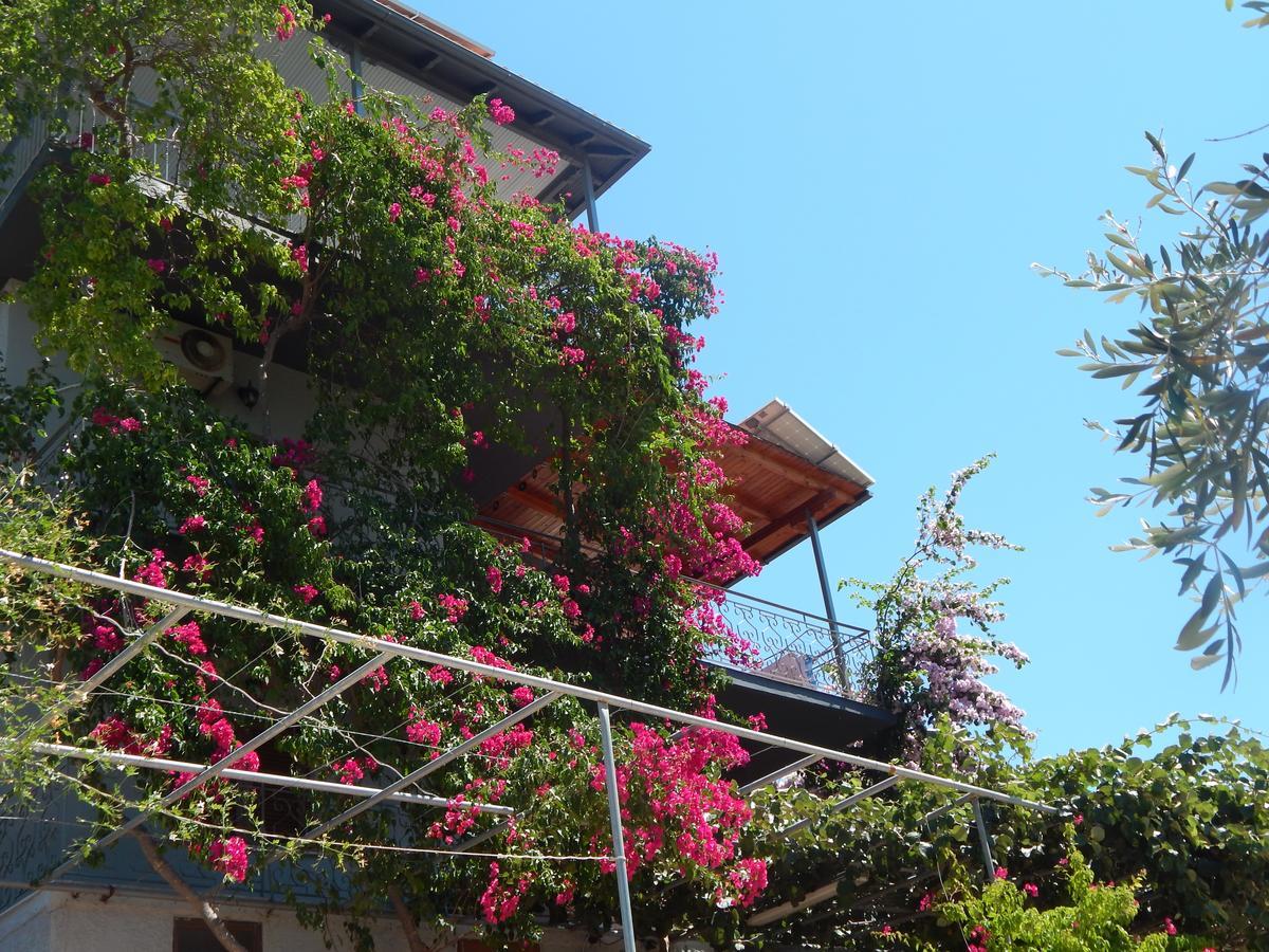 Sofia Apartments Sívota 외부 사진